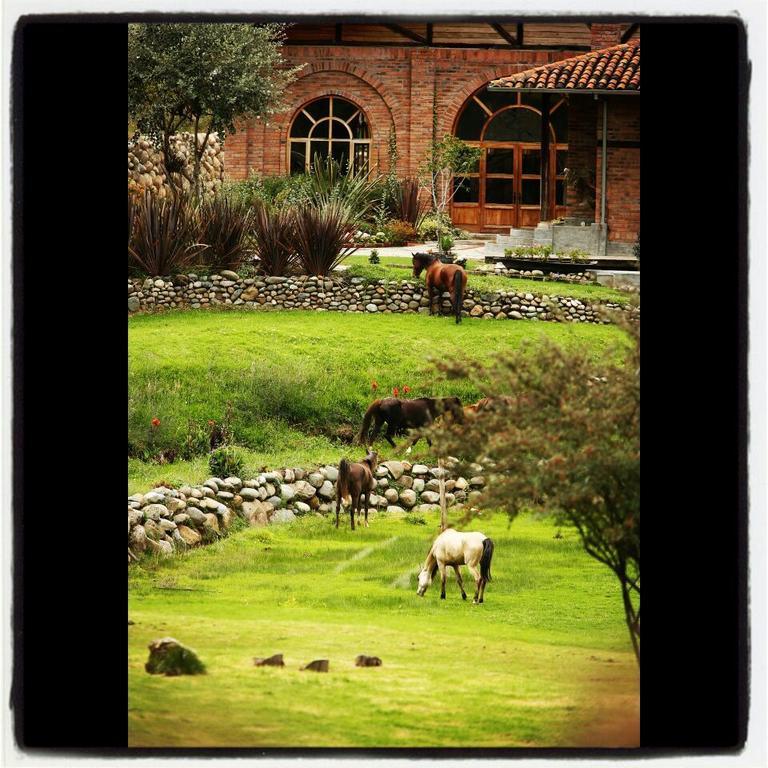 Hosteria Caballo Campana Cuenca Zewnętrze zdjęcie