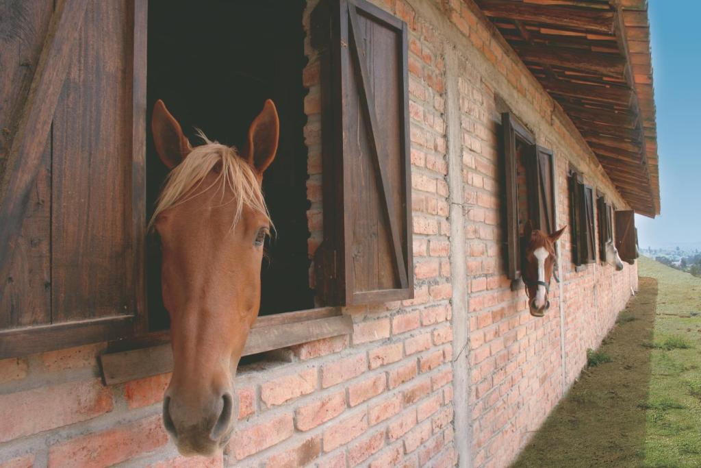 Hosteria Caballo Campana Cuenca Zewnętrze zdjęcie